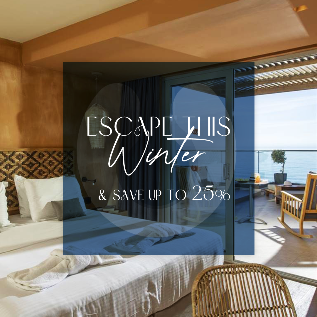 122025 Palmera Ads Weo 1080X1080