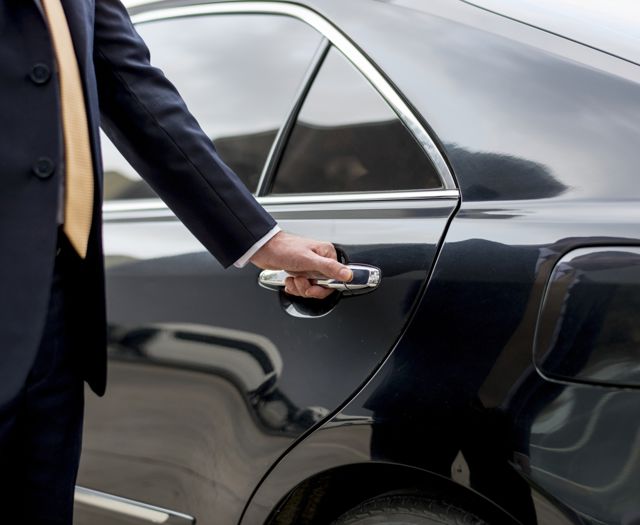 Imagepalmeratransfer